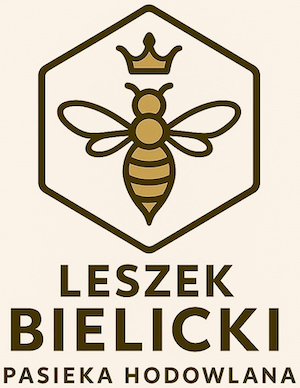 logopasiekimid